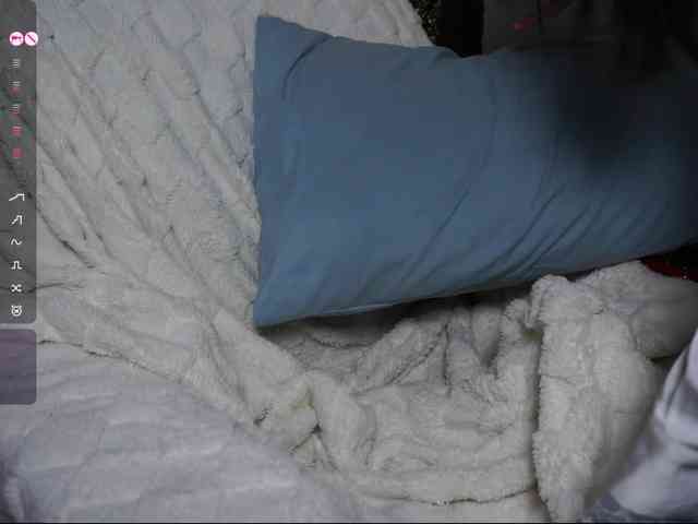 Leinbone webcam