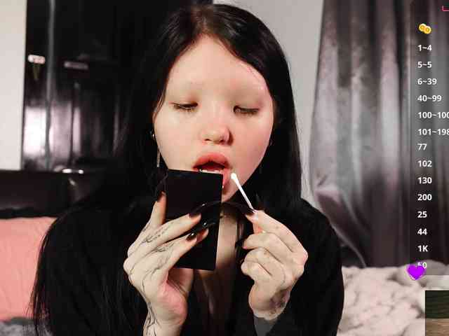 Leinbone webcam