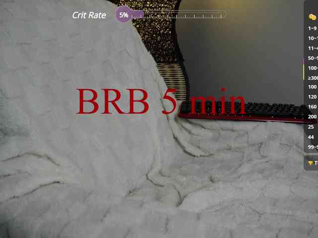 Leinbone webcam