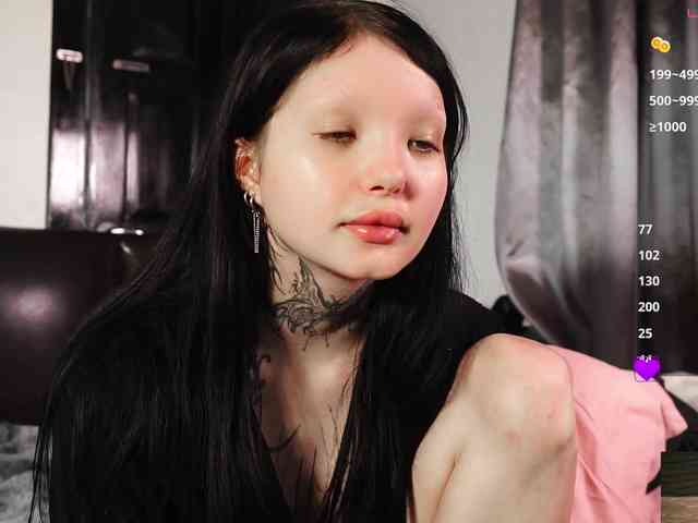 Leinbone webcam