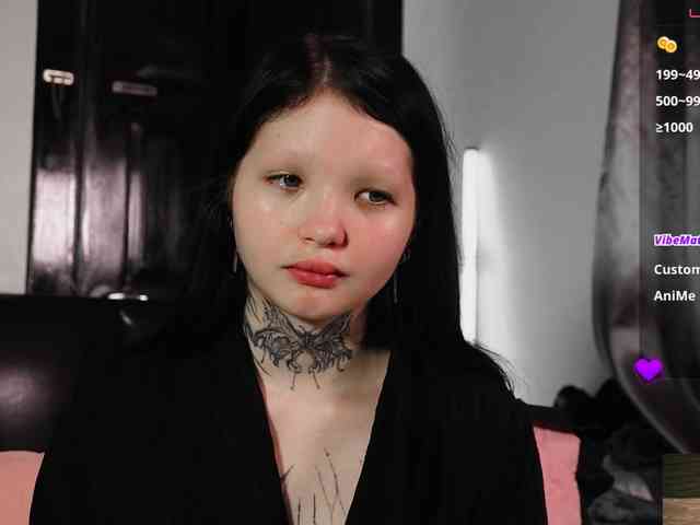 Leinbone webcam
