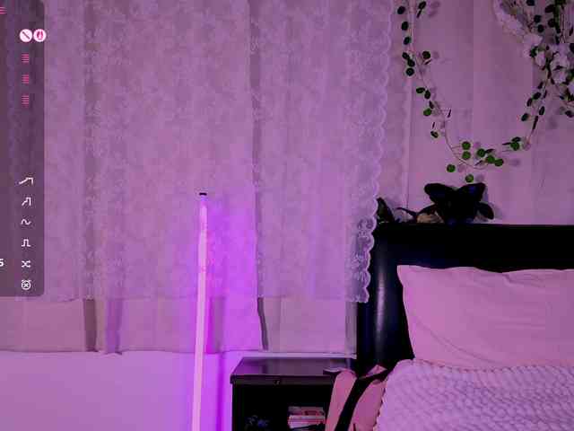 Leinbone webcam