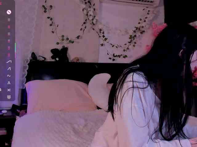 Leinbone webcam