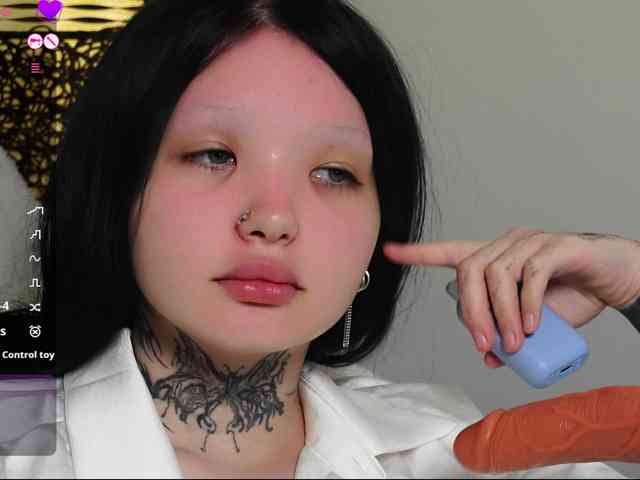 Leinbone webcam
