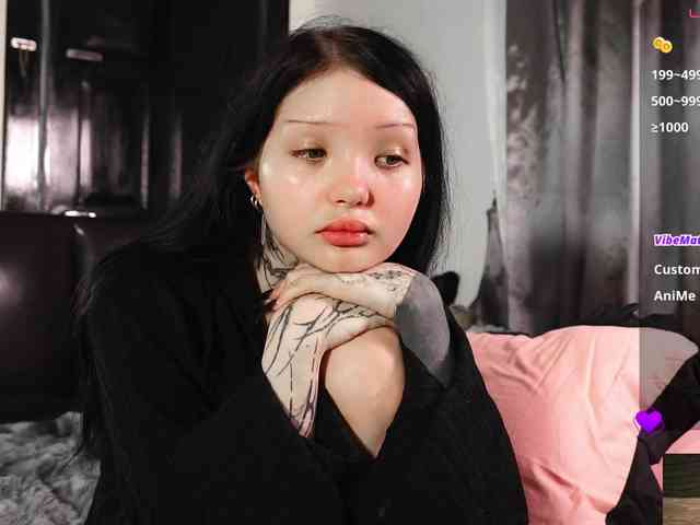 Leinbone webcam