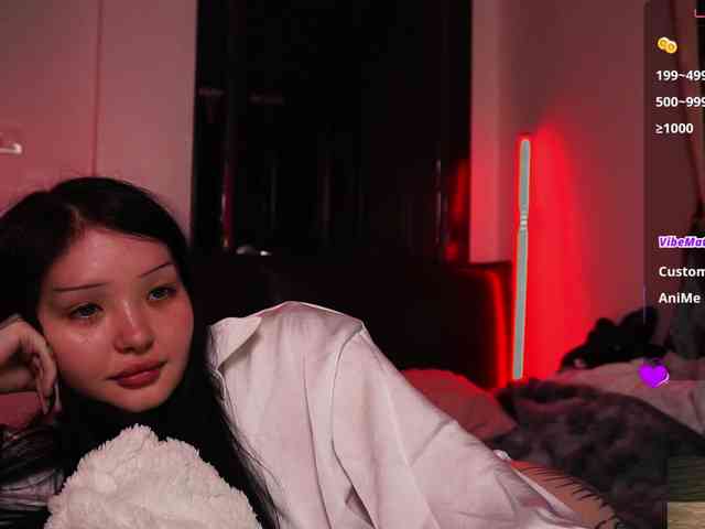 Leinbone webcam