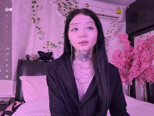 Leinbone webcam