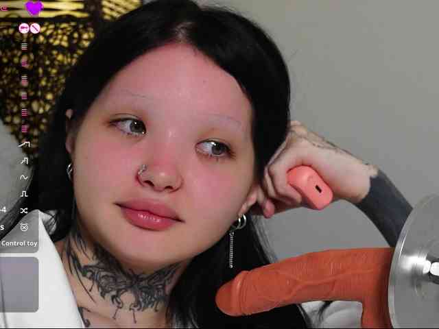 Leinbone webcam