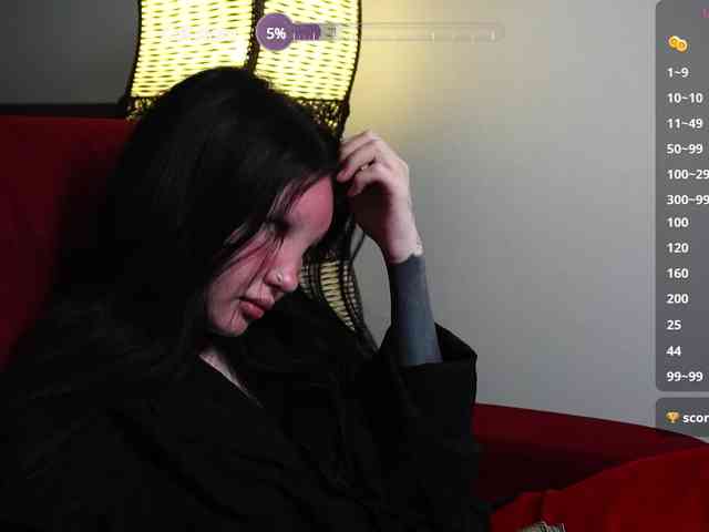 Leinbone webcam