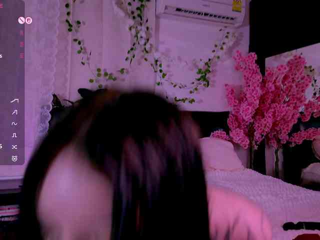 Leinbone webcam