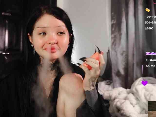 Leinbone webcam