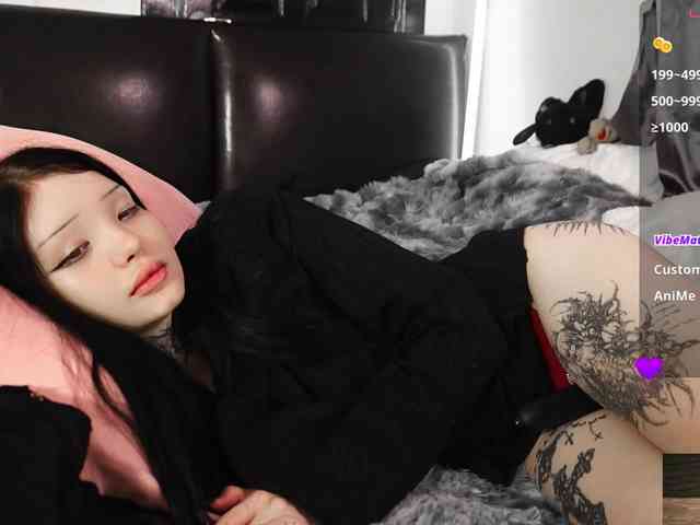 Leinbone webcam