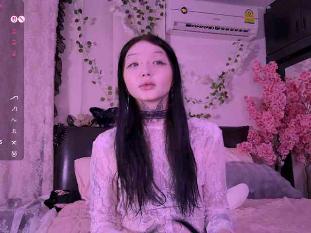 Leinbone webcam