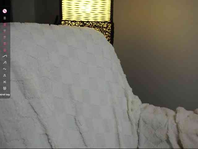 Leinbone webcam