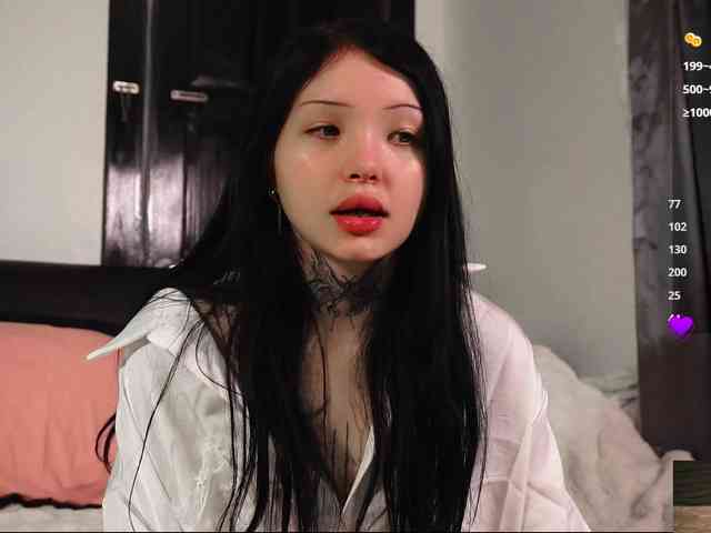 Leinbone webcam