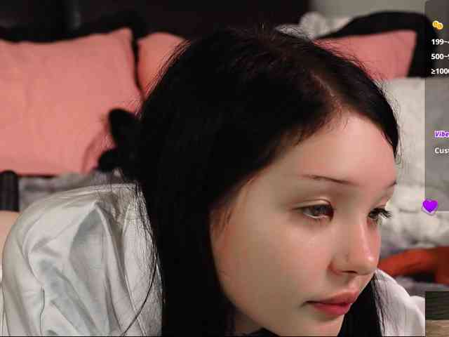 Leinbone webcam