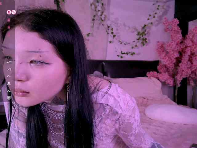 Leinbone webcam