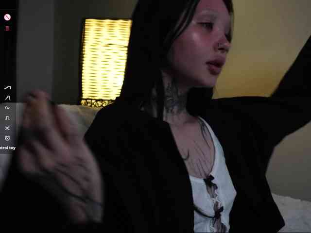 Leinbone webcam
