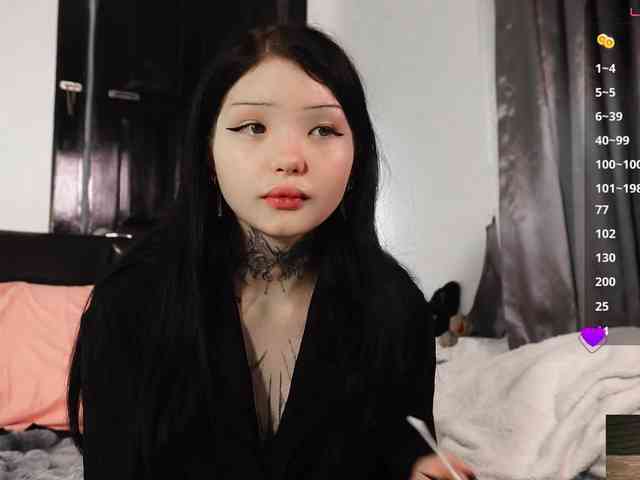 Leinbone webcam