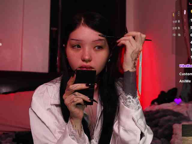 Leinbone webcam