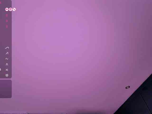 Leinbone webcam