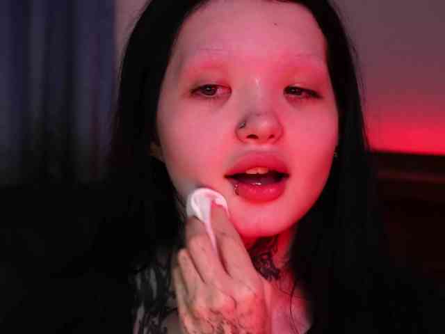 Leinbone webcam