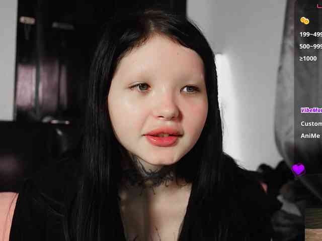 Leinbone webcam