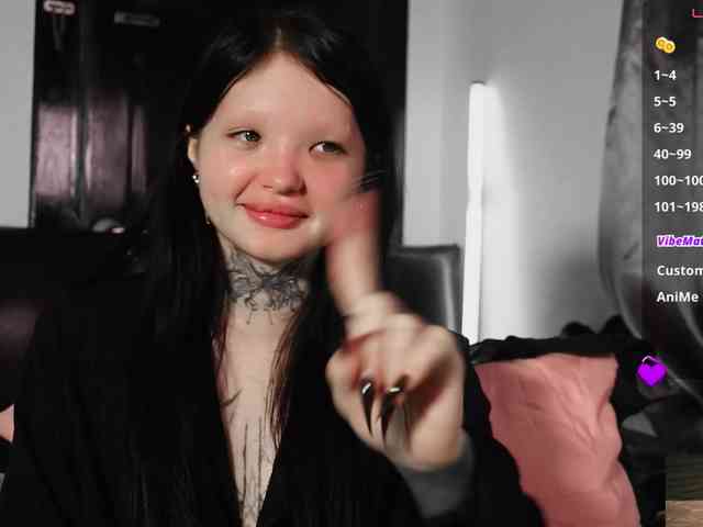 Leinbone webcam