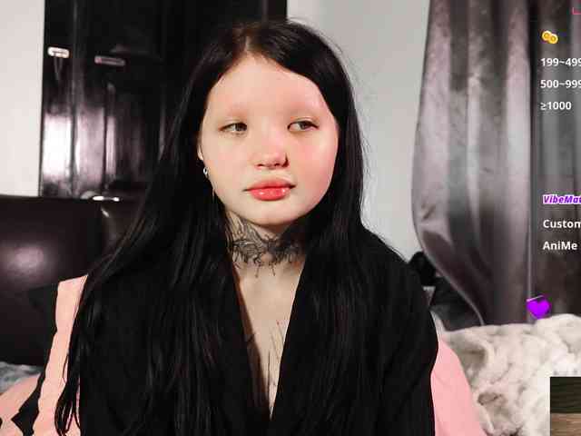 Leinbone webcam