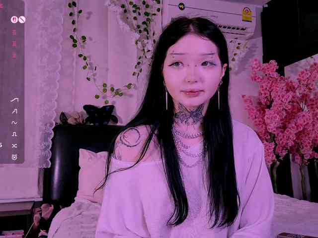 Leinbone webcam
