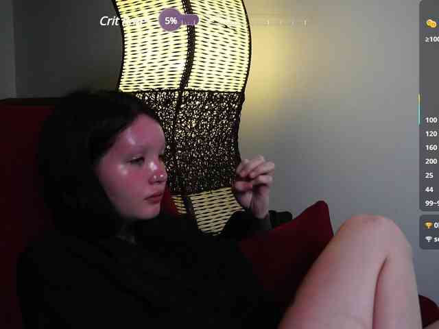 Leinbone webcam