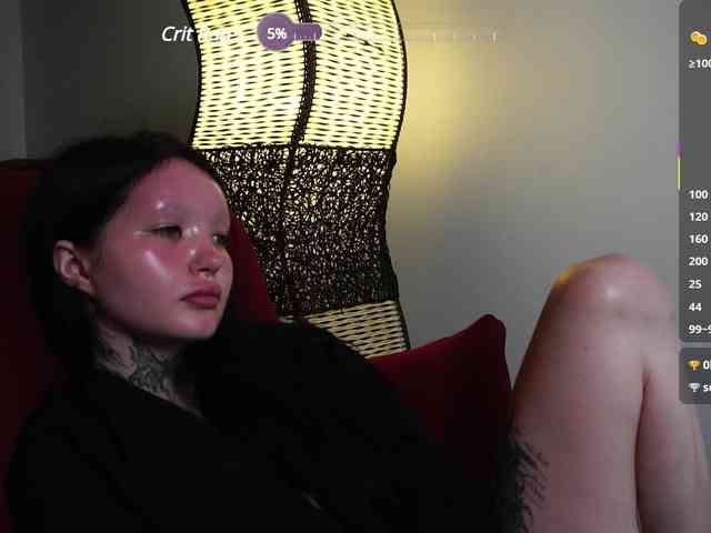 Leinbone webcam