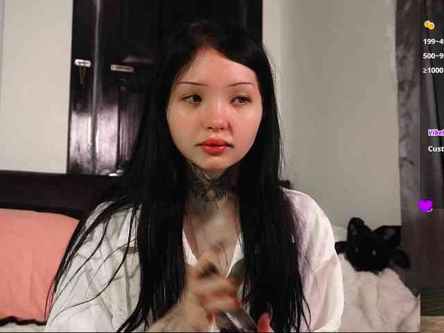Leinbone webcam