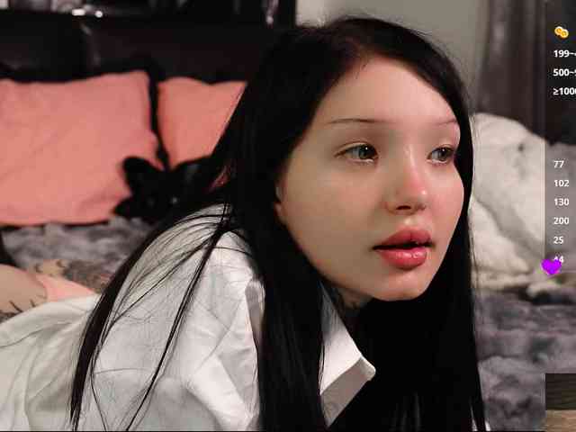 Leinbone webcam