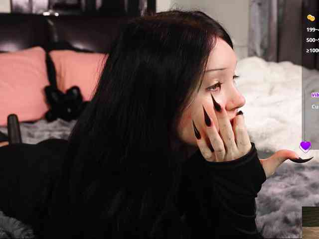 Leinbone webcam