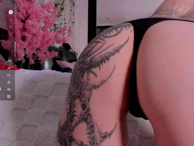 Leinbone webcam