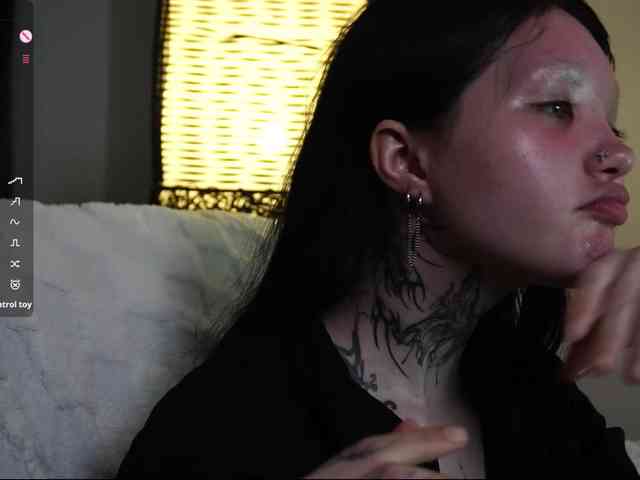Leinbone webcam