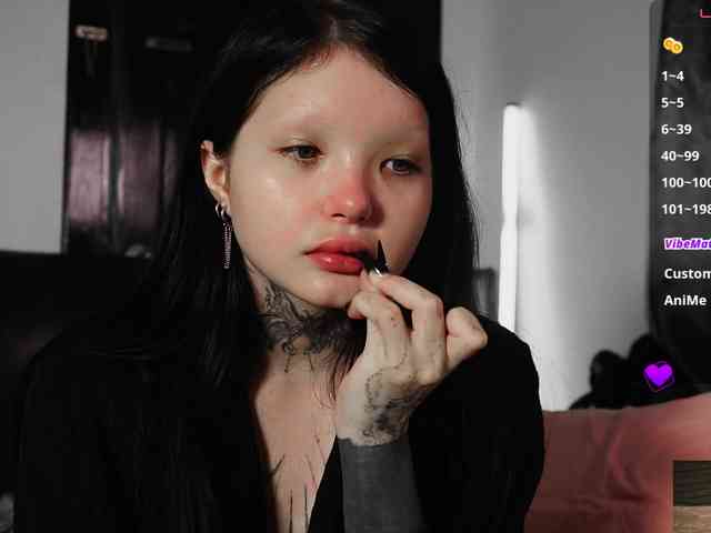 Leinbone webcam
