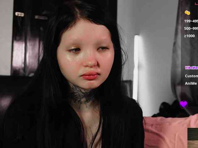 Leinbone webcam