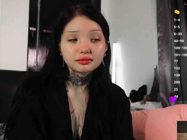 Leinbone webcam