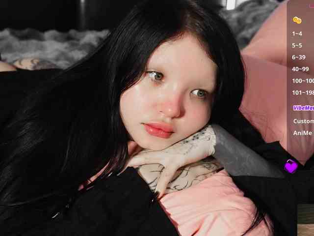 Leinbone webcam