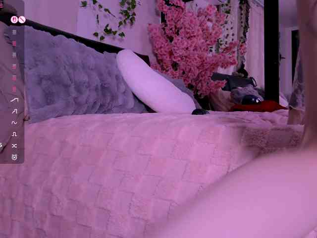 Leinbone webcam