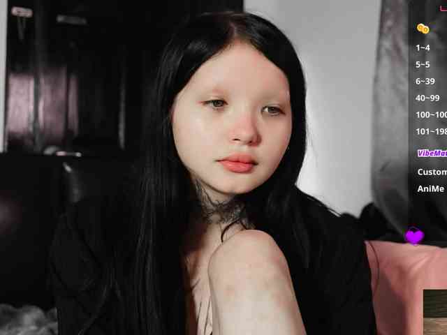 Leinbone webcam