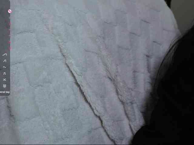 Leinbone webcam