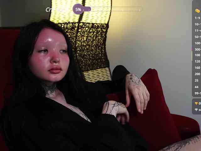 Leinbone webcam