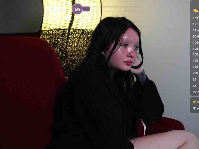 Leinbone webcam