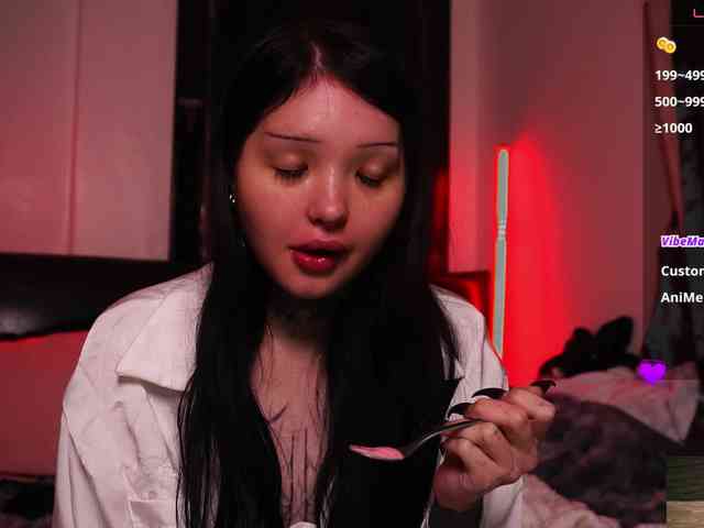 Leinbone webcam