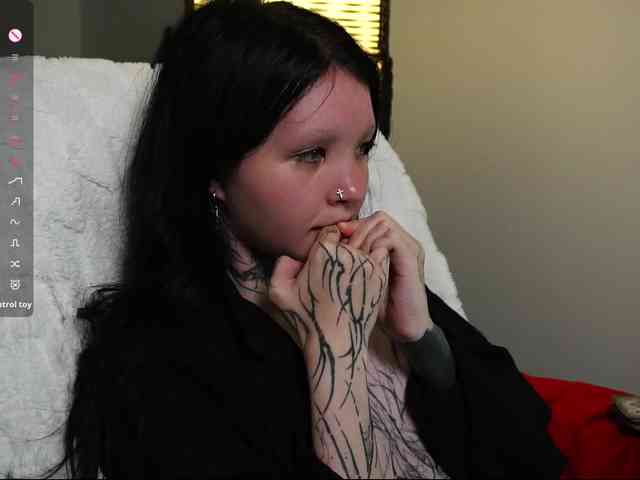 Leinbone webcam