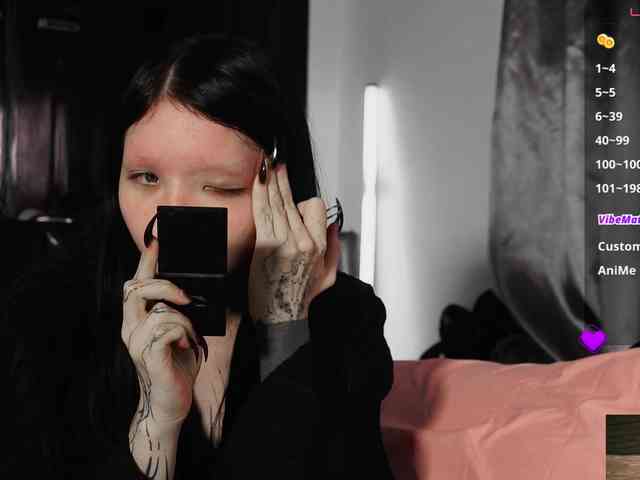 Leinbone webcam