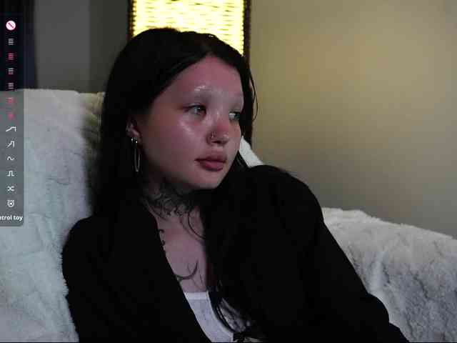 Leinbone webcam